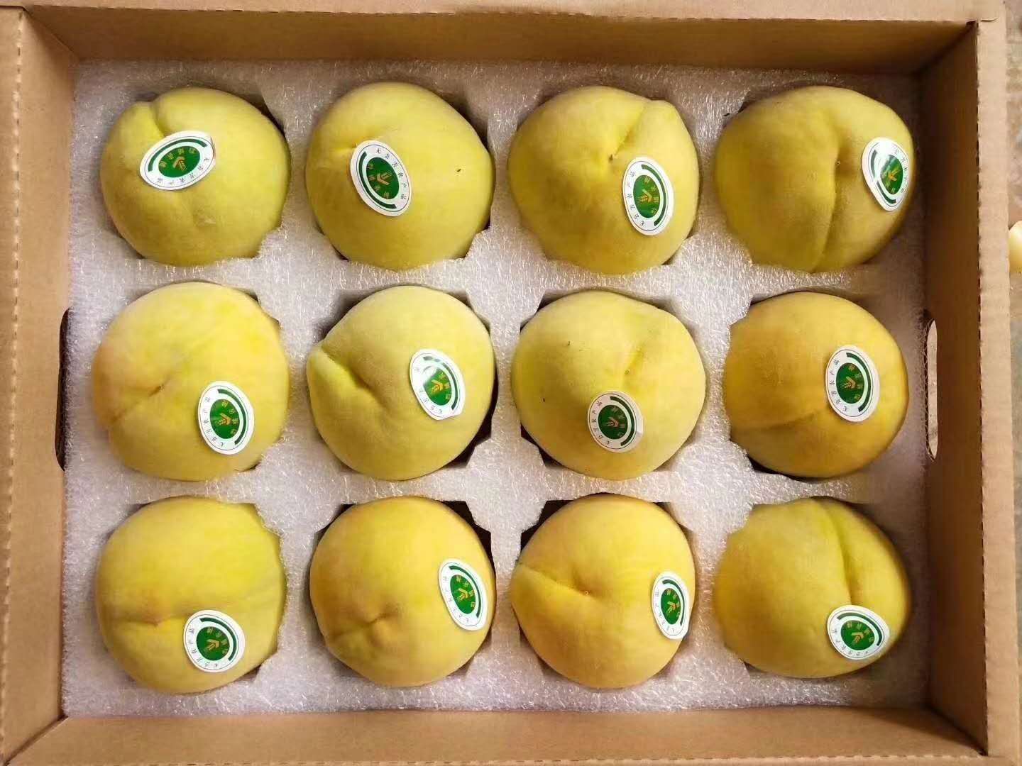 珍珠棉水果包装